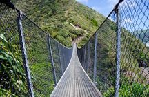 Kāpiti Coast: Escarpment Track Guided Hiking Tour, Coffee + Lunch
