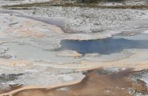 Yellowstone Park Private Customizable Tour from Jackson Hole