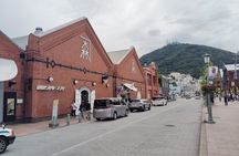Hakodate: Historic Port Walk & Mt. Hakodate Panoramic Views