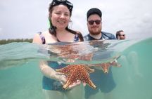 Stingray City and Snorkeling Tour Starfish Point Adventure