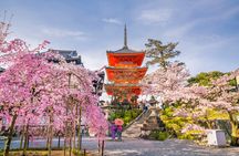 Kyoto and Nara Small Group Tour from Osaka