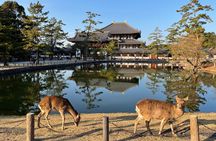 Kyoto and Nara Small Group Tour from Osaka