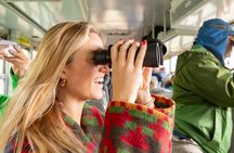 Denali in a Day – Full-Day Sightseeing Tour