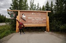 Denali in a Day – Full-Day Sightseeing Tour