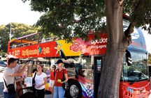 Red Line: Split Panoramic Tour with Sightseeing Bus