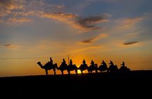 Camel Riding Experience in Agafay Desert with dinner & sunset 