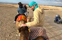 Camel Riding Experience in Agafay Desert with dinner & sunset 