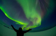  Small-Group Tour: Northern Lights with Photos & Hot Chocolate