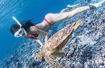 Bali Snorkeling at Blue Lagoon with Waterfall, Lunch & Transport 