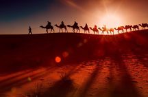 Arabian Nights Dubai Red Dunes 4x4 Pick and Drop Camel Dinner