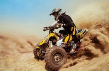 Arabian Nights Dubai Red Dunes 4x4 Pick and Drop Camel Dinner