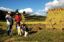 Custom Bike and Walk Countryside Adventure in Rural Japan