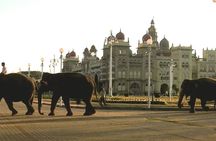 Bangalore City Sightseeing 6 Hours Tours