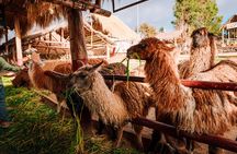Sacred Valley Full Day Tour Pisac Moray and Ollantaytambo