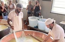 From Reggio Emilia Mediopadana Tour of Parmigiano and Parmaham