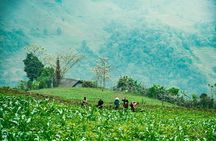 True North Ha Giang Loop Motorbike Tour 4 Days of Adventures 