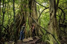 Ultimate Corner Volcano Adventure : Hike, Waterfall & Hot Springs