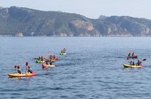Mallorca: Kayaking, Sea Cave, Cliff Jumping & Snorkel Tour