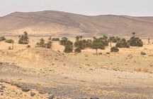 5 Days and 4 Nights Fossil Hunting Adventure in Morocco