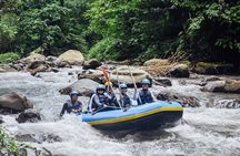 All inclusive : Ayung River White Water Rafting Lunch and Private Transport 