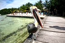 Full Day Snorkeling Adventure in Belize 