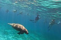 Full Day Snorkeling Adventure in Belize 