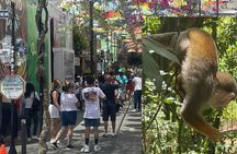 Combo : of Monkeys and Historical City Tour