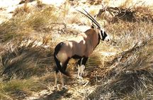 Sandwich Harbour Namibia Where every Holiday Becomes an Adventure