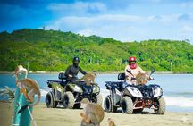 Combo: Adventure in ATV and Monkeys