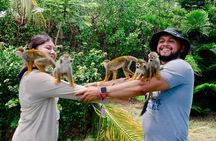  Monkeyland Waterfalls and 4x4 Buggy Private Tour Puerto Plata