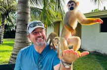 2X1: MonkeyLand plus horseback riding beach in Puerto Plata