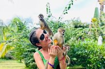 2X1: MonkeyLand plus horseback riding beach in Puerto Plata