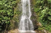 Hiking through the Cocora Valley Waterfalls