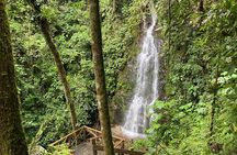 Hiking through the Cocora Valley Waterfalls