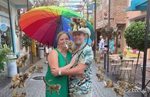 Combo: Monkeys and city tours from amber cove and Taino bay 