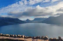 Table Mountain Penguins and Cape Point a Private Big 3 Elite Day