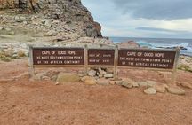 Table Mountain Penguins and Cape Point a Private Big 3 Elite Day