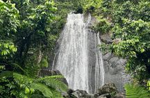 Explore El Yunque National Forest Guided Nature Adventure
