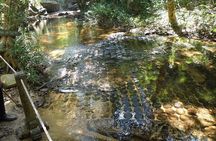 Kulen Mountain Waterfall-1000 Lingas -Siem Reap Tour 