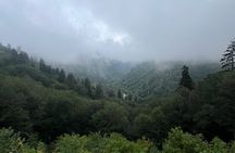 Guided Hike & Outdoor Painting Class in Smoky Mtns Nat’l Park