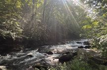 Guided Hike & Outdoor Painting Class in Smoky Mtns Nat’l Park