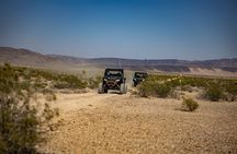 Guided Mojave Desert Off Road RZR Adventure