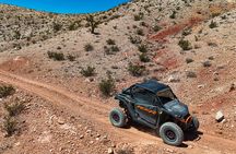 Pioneer Desert Adventure at the Historic Pioneer Saloon!