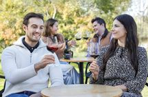Hunter Valley Tours from Sydney : Wine, Oyster & Dumpling Escape