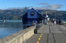 Akaroa Private Day Tour from Christchurch