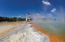 Tauranga Private Shore Excursion: Wai-O-Tapu Thermal Wonderland 