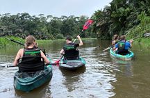 Adventure in Tortuguero Kayak