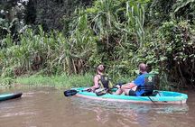 Adventure in Tortuguero Kayak