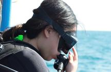 2-Day Scuba Diver Course (Max 12 meters)