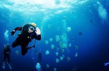 2-Day Scuba Diver Course (Max 12 meters)